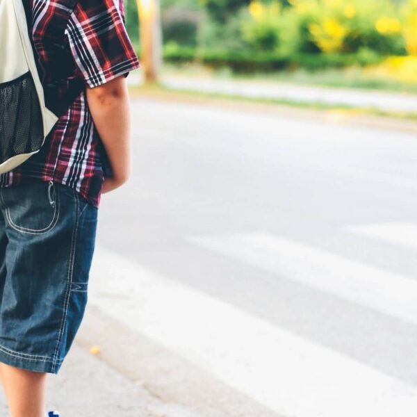 Blossom Baby Activity Cards - Developmental Play